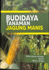 Budidaya tanaman jagung manis