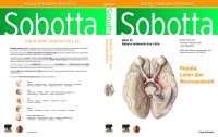 Sobotta atlas anatomi: kepala, leher, dan neuroanatomi